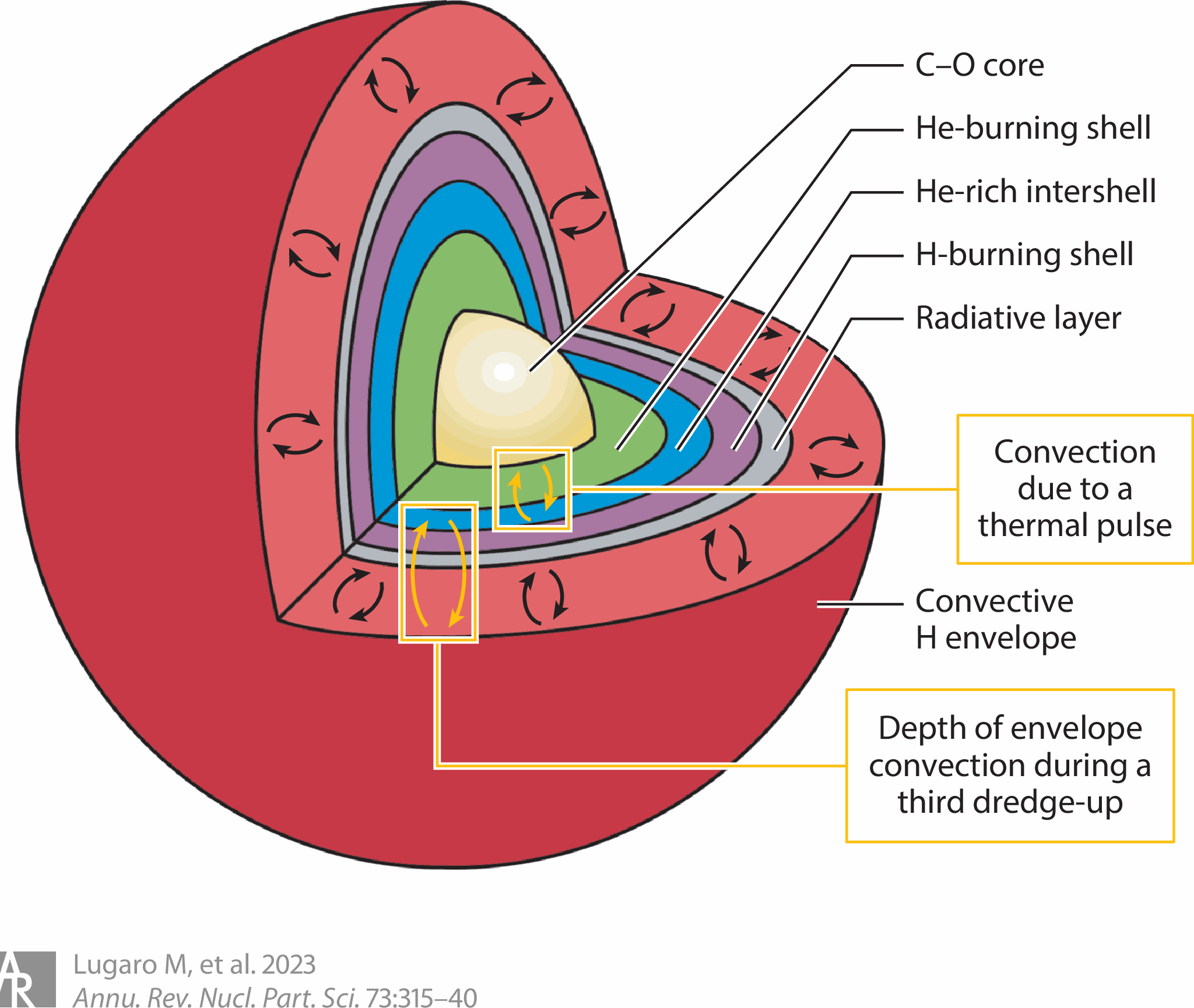 Representación conceptual de las estrellas gigantes rojas de tipo AGB donde se sintetiza Pb204 mediante un proceso de nucleosíntesis estelar (Lugaro M.  et al. 2003 Annu. Rev. Nuc. Part. Sci.73:315-40).